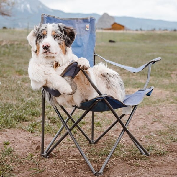 Pet friendly camping allows you to enjoy nature together while creating unforgettable memories. Experience the outdoors with your bestie!