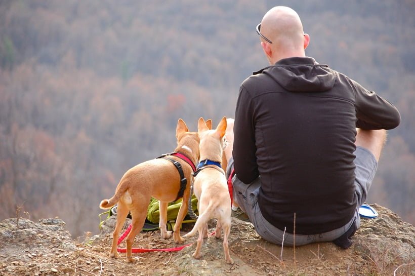 a man hiking with his pets