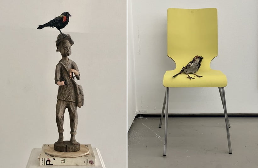 Tom Deininger bird designs