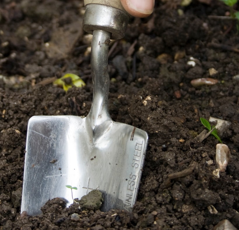 digging with a trowel