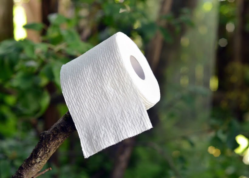 paper towel hung on a tree
