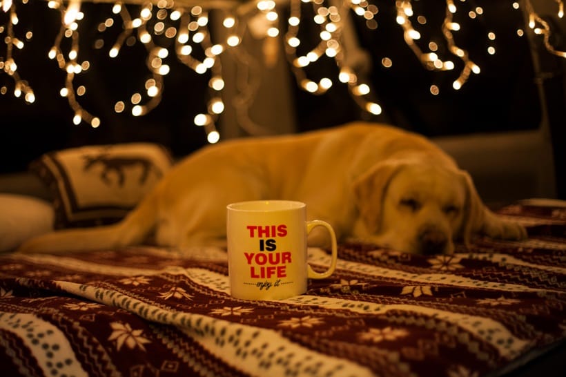 take it slow while camping