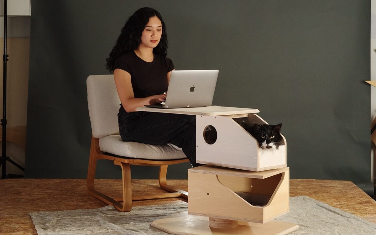 Being part of the Multifunctional Furniture for Small Space Living project, Kitty Kabin emphasizes sustainability and ease of assembly.