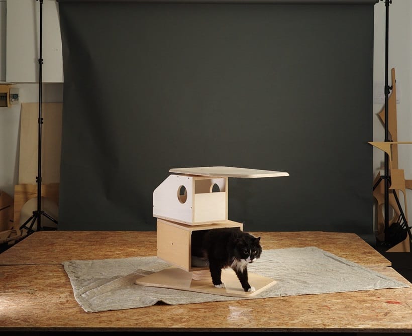 a cat going outside of its tower