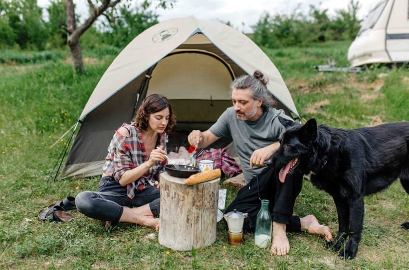 couple having lunch with their dogs during camping