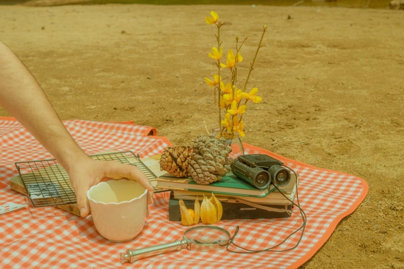 picnic tablecloth