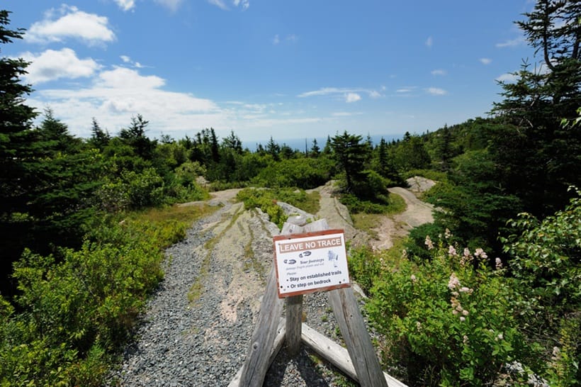 leave no trace sign in the woods