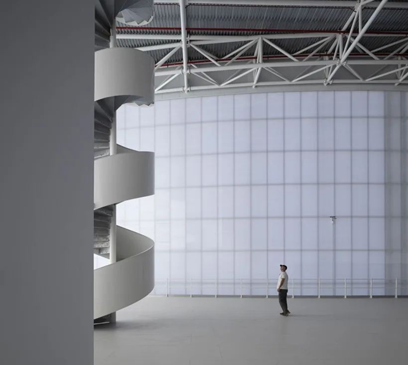 a person looking at spiral ladders