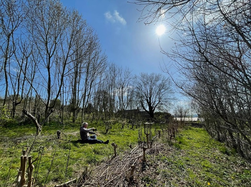 a man stiing on the grass