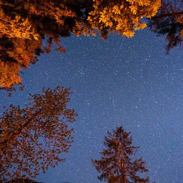 If you would like to escape from the glow of city lights, dark sky camping can offer a truly magical adventure.