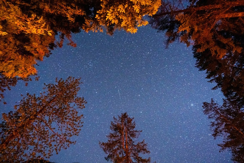 If you would like to escape from the glow of city lights, dark sky camping can offer a truly magical adventure.