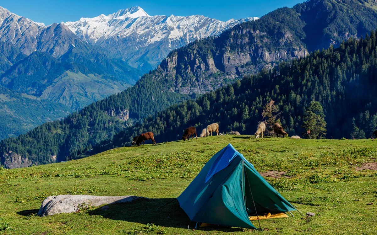 Mountain camping offers a thrilling escape into nature. It invites adventurers to explore rugged landscapes and tranquil peaks.