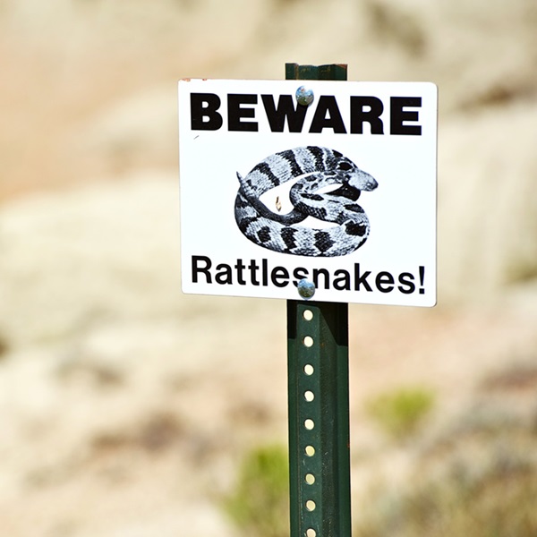 If you are a beginner camper, encountering snakes while camping can be a nerve-wracking experience.