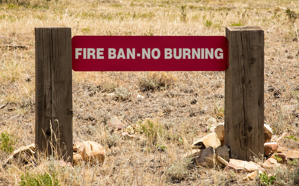 If all summer campers are here, let's talk about how to cook without fire. Because burn bans have come into effect to prevent wildfires. 