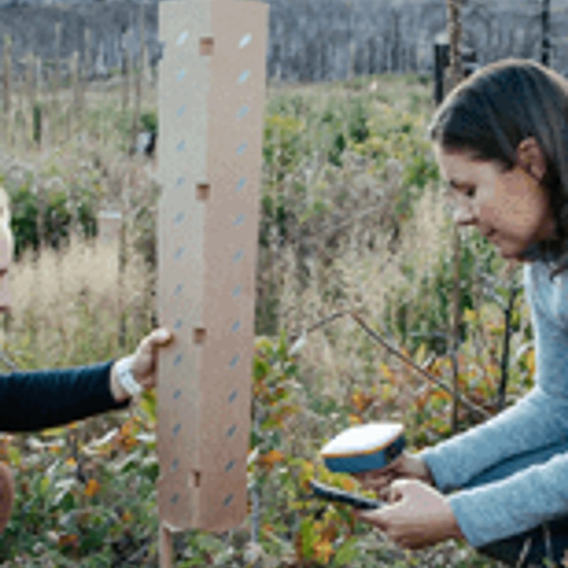 a woman working with Cocoon technology